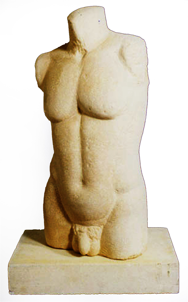 TORSO